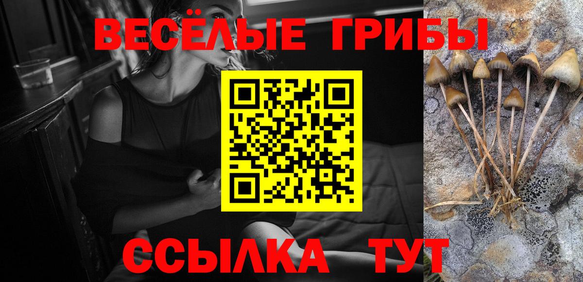 Сорочинск  Псилоцибиновые грибы ЛСД  Вход с VPN  продажа наркотиков  Галлюциногенные грибы GOLDEN TEACHER 